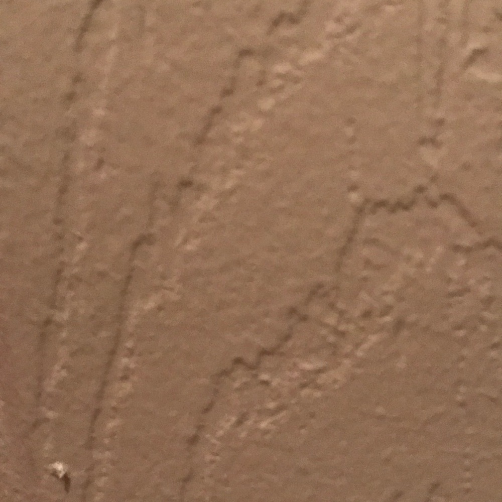 Meet your Posher, Adrienne